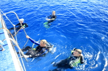 maratua_divestyle01