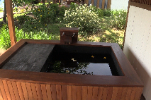 new_hot tub with flowers reflections copy