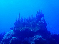 kosrae_diving1