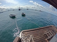speed boat2